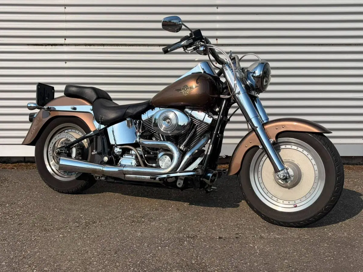 Harley-Davidson 1450 Fat Boy (2003 - 06) - FLSTFI