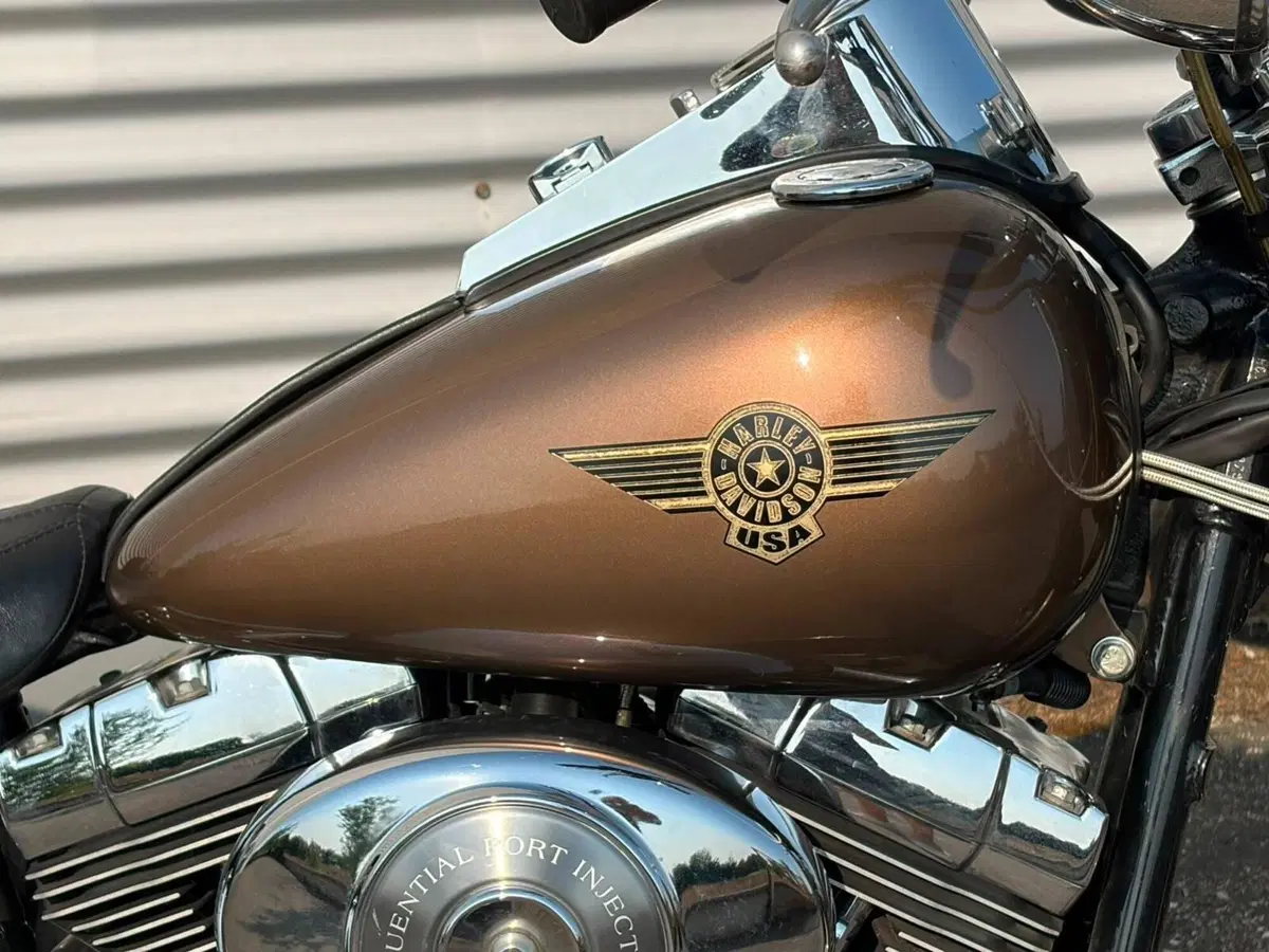 Harley-Davidson 1450 Fat Boy (2003 - 06) - FLSTFI (6)
