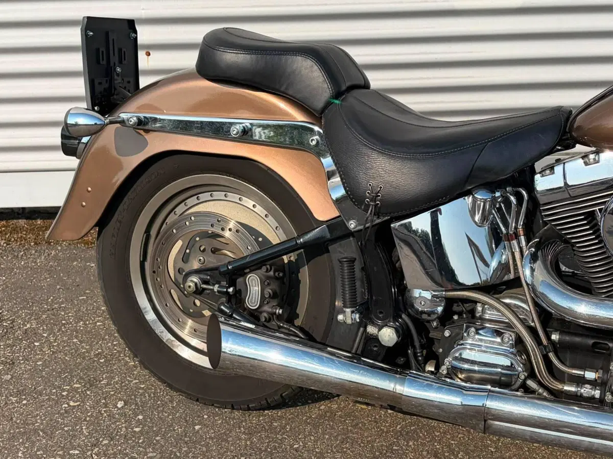 Harley-Davidson 1450 Fat Boy (2003 - 06) - FLSTFI (7)