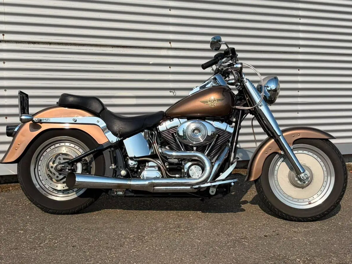 Harley-Davidson 1450 Fat Boy (2003 - 06) - FLSTFI (17)