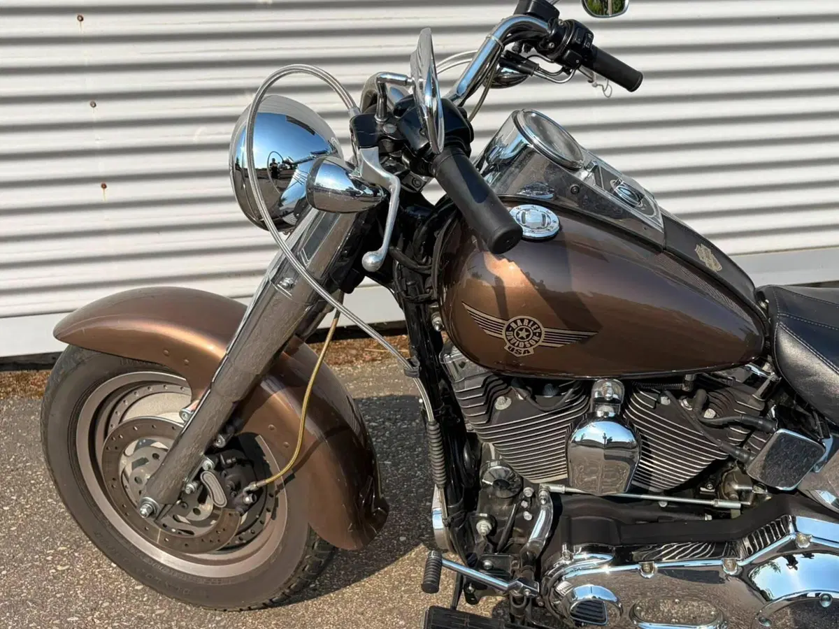 Harley-Davidson 1450 Fat Boy (2003 - 06) - FLSTFI (11)