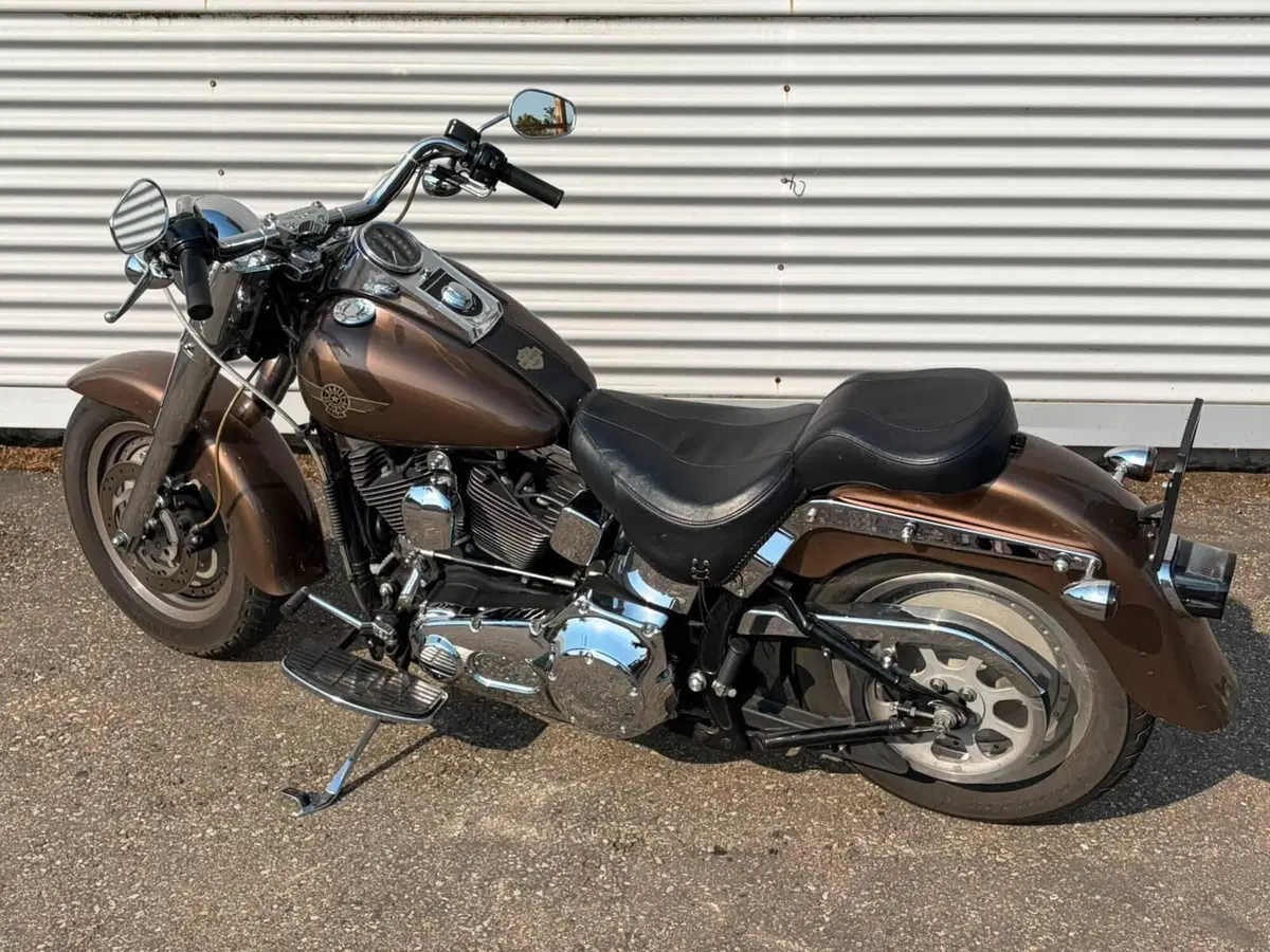 Harley-Davidson 1450 Fat Boy (2003 - 06) - FLSTFI (2)