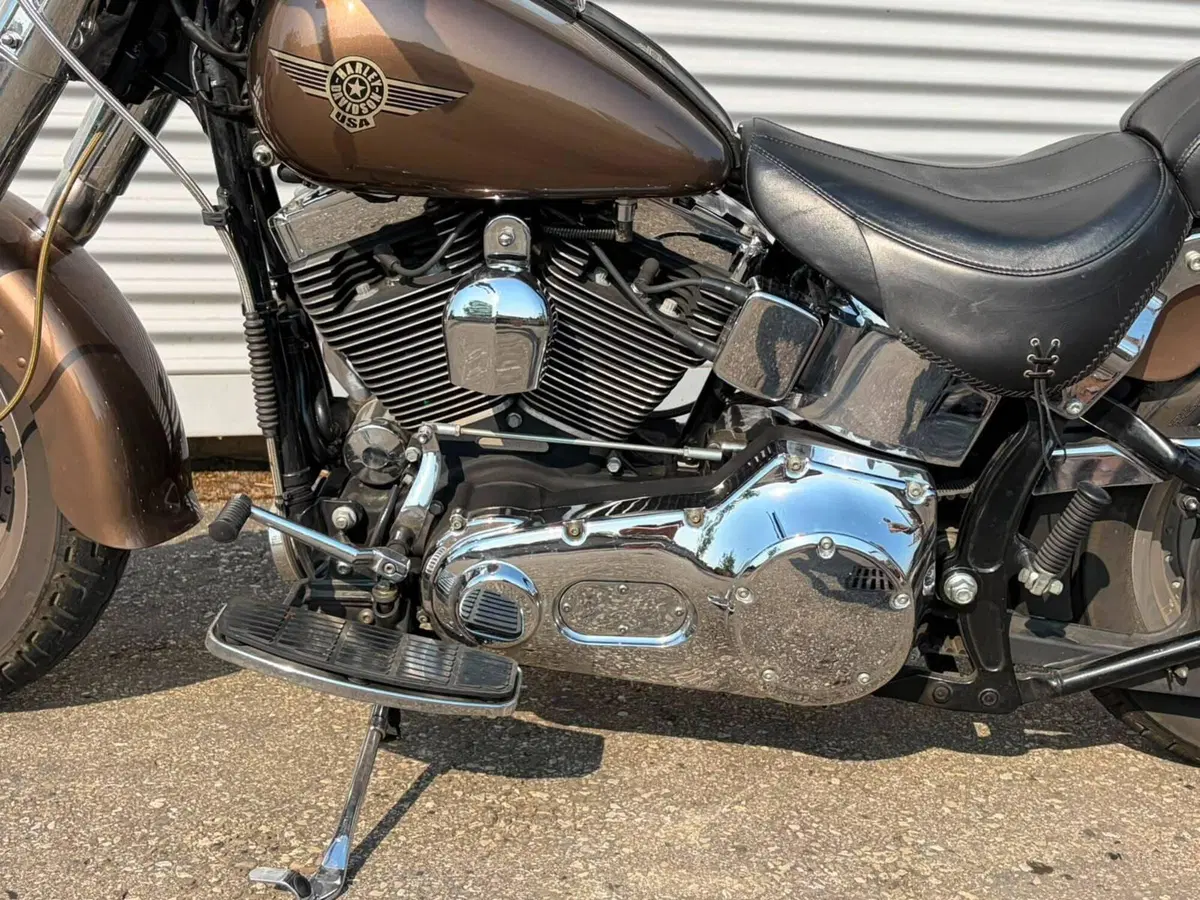 Harley-Davidson 1450 Fat Boy (2003 - 06) - FLSTFI (12)