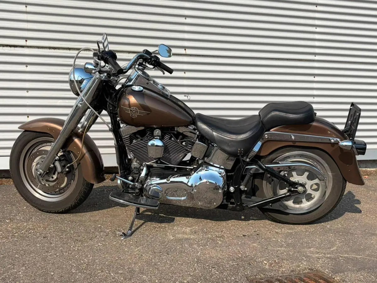 Harley-Davidson 1450 Fat Boy (2003 - 06) - FLSTFI (18)