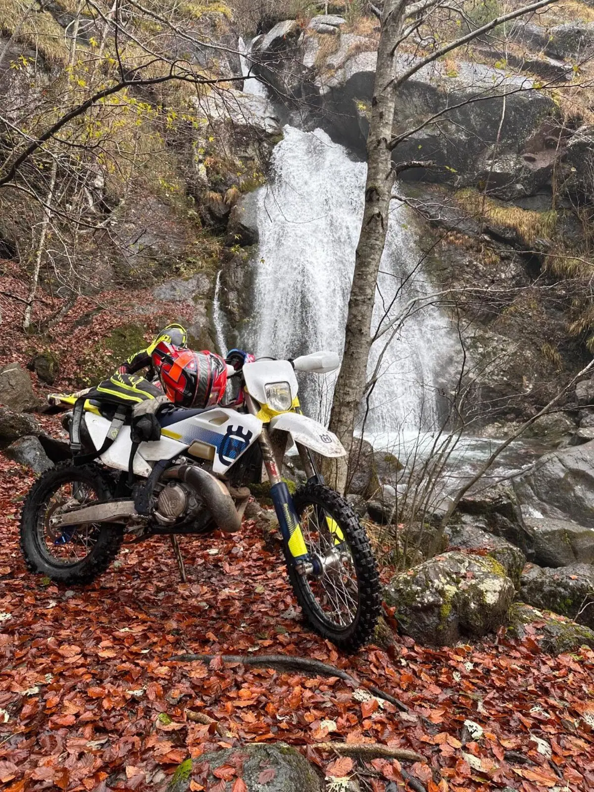 Husqvarna TE 300 (2024) (2)