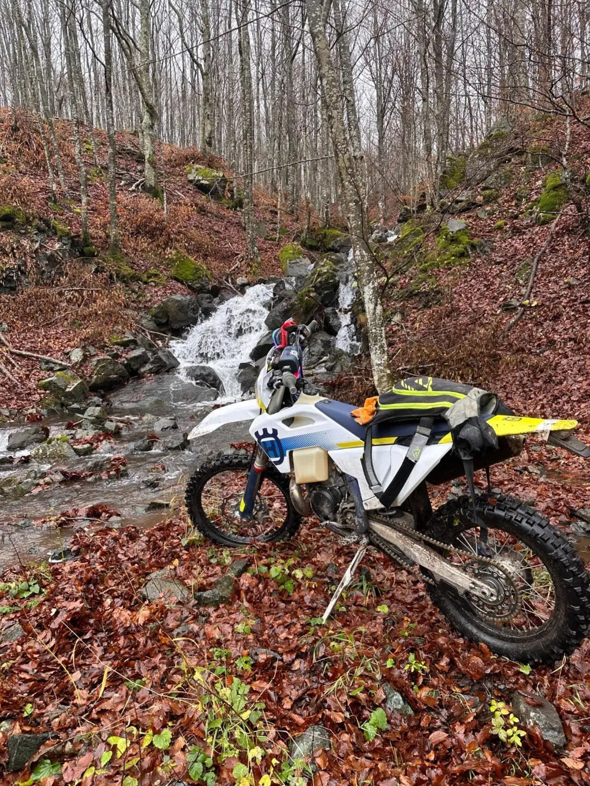 Husqvarna TE 300 (2024) (3)