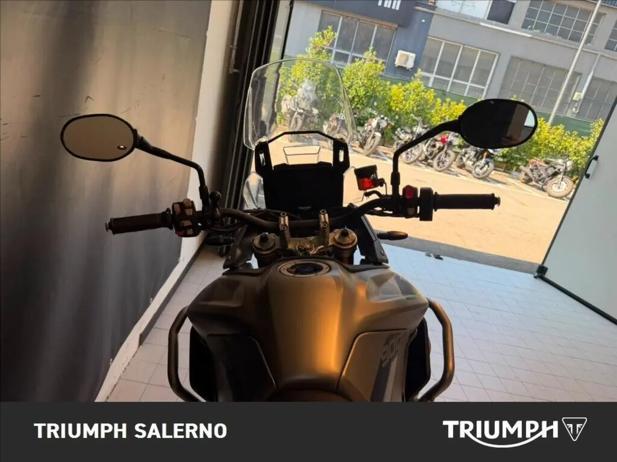 Triumph Tiger 900 Rally (2020 - 23) (5)