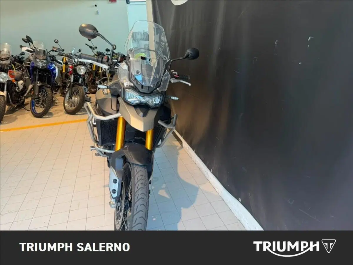 Triumph Tiger 900 Rally (2020 - 23) (3)