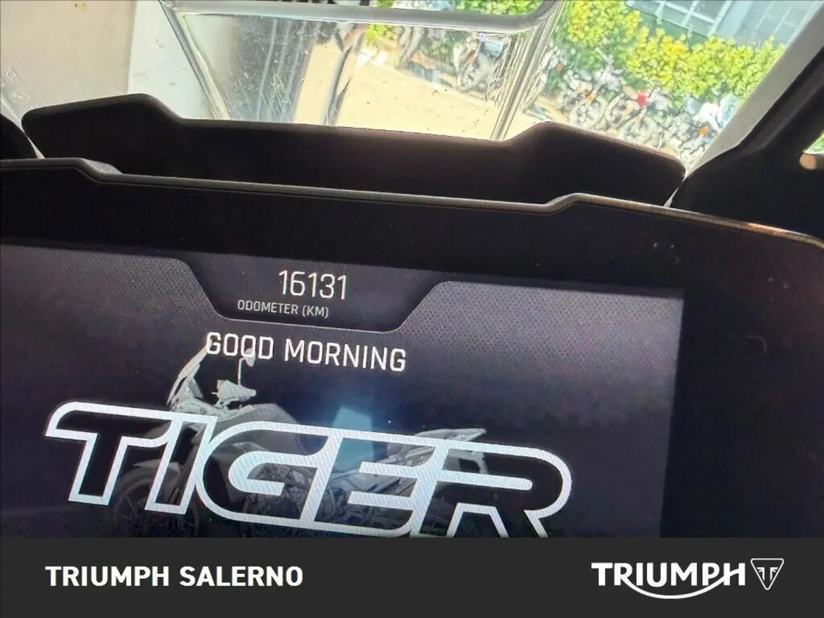 Triumph Tiger 900 Rally (2020 - 23) (6)