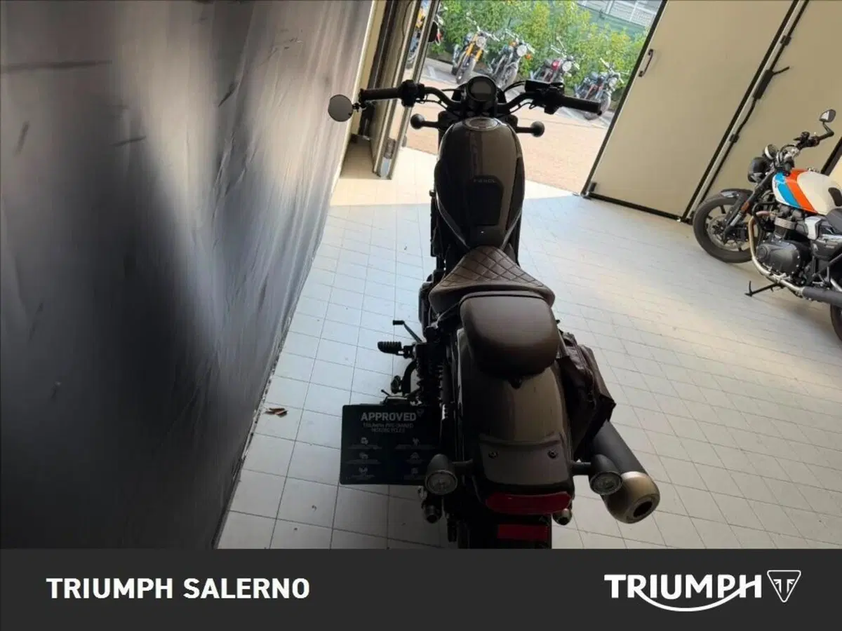 Honda CMX 500 Rebel (2022 - 24) (5)