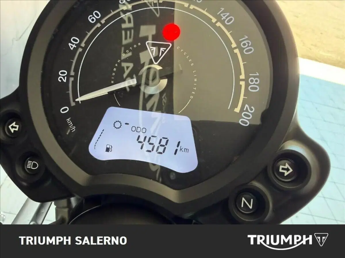 Triumph Scrambler 900 (2023 - 25) (7)