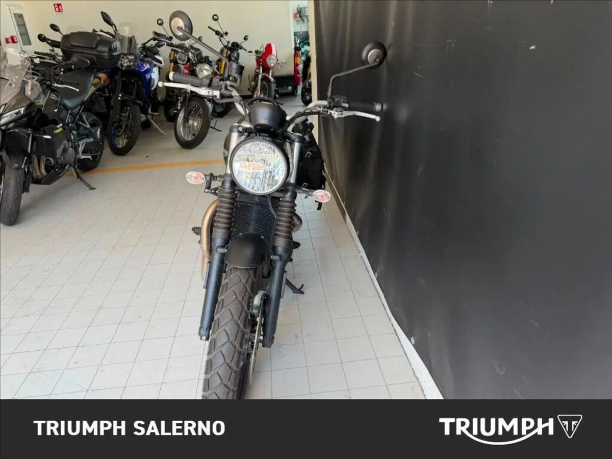 Triumph Scrambler 900 (2023 - 25) (3)