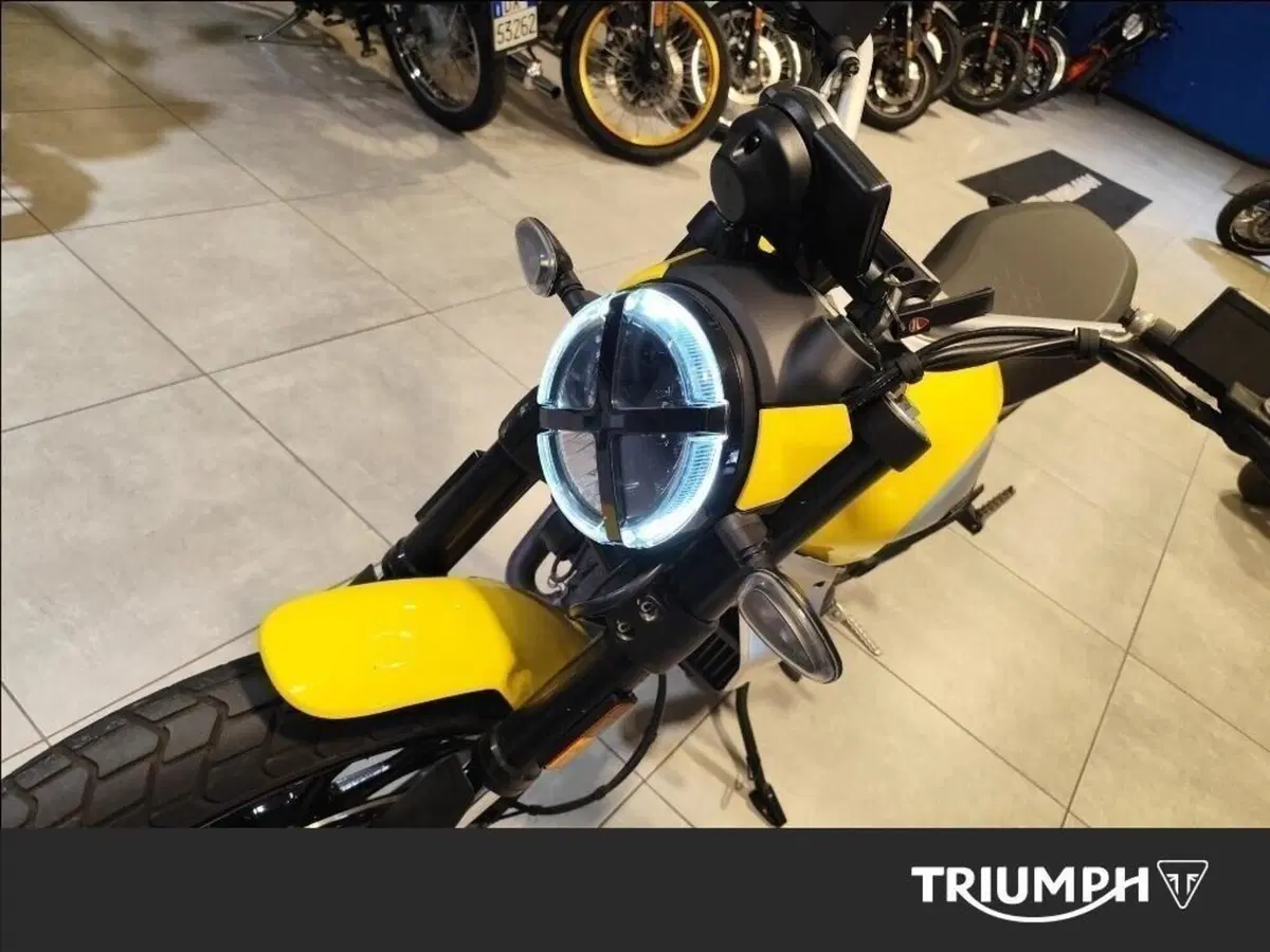 Ducati Scrambler 800 Icon (2023 - 24) (6)