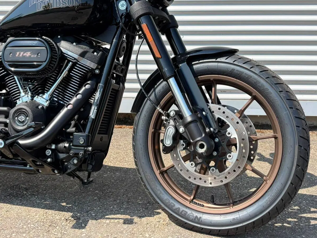 Harley-Davidson 114 Low Rider S (2021) - FXLRS (3)
