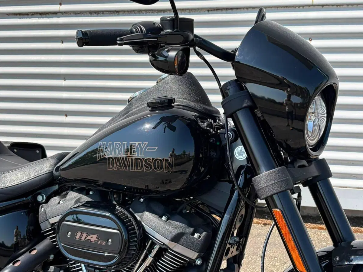 Harley-Davidson 114 Low Rider S (2021) - FXLRS (4)