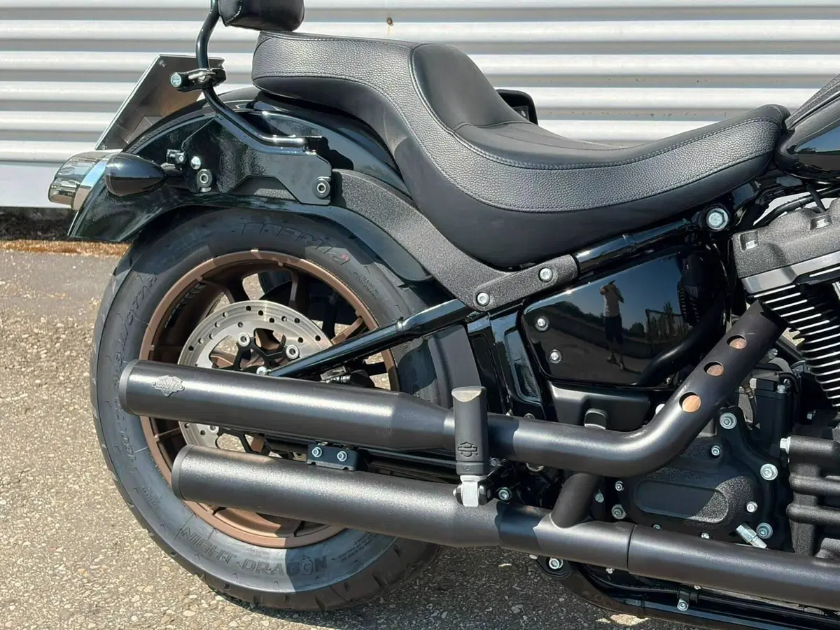 Harley-Davidson 114 Low Rider S (2021) - FXLRS (6)