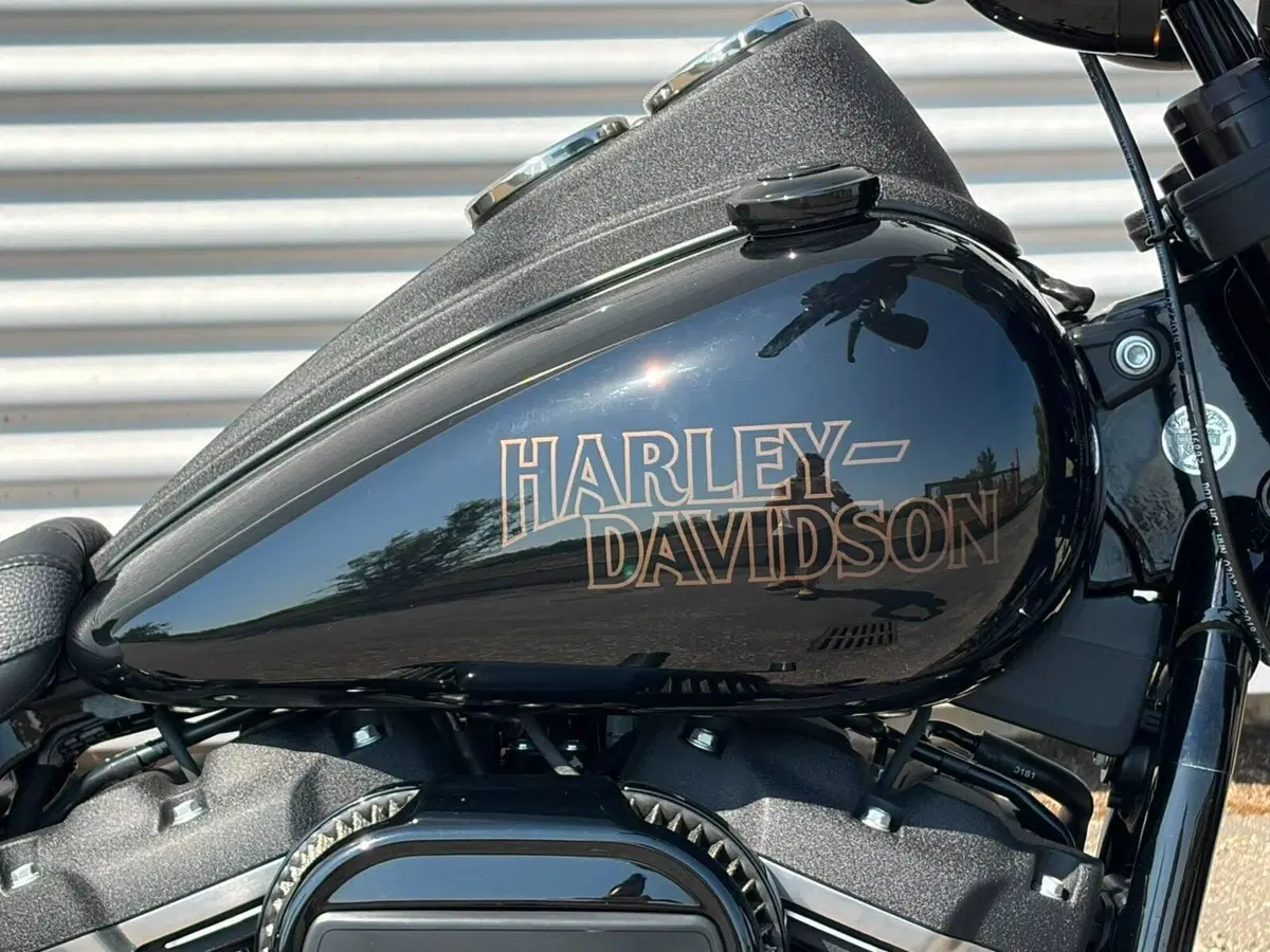 Harley-Davidson 114 Low Rider S (2021) - FXLRS (7)