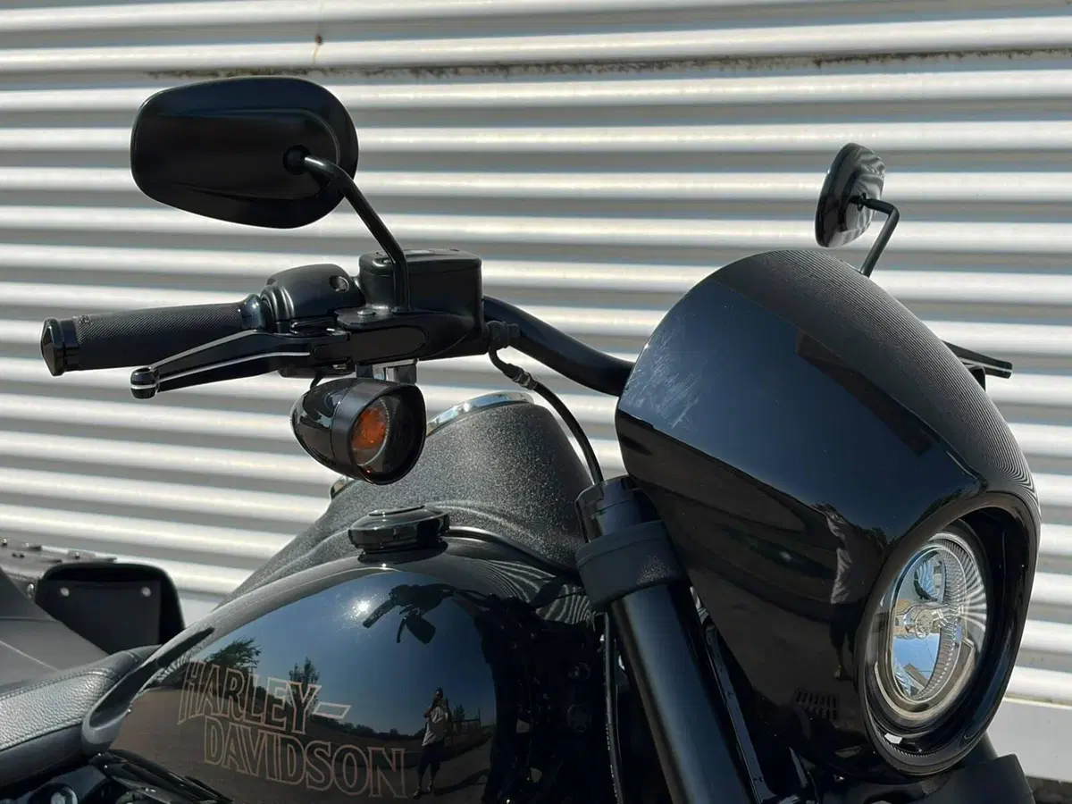 Harley-Davidson 114 Low Rider S (2021) - FXLRS (8)