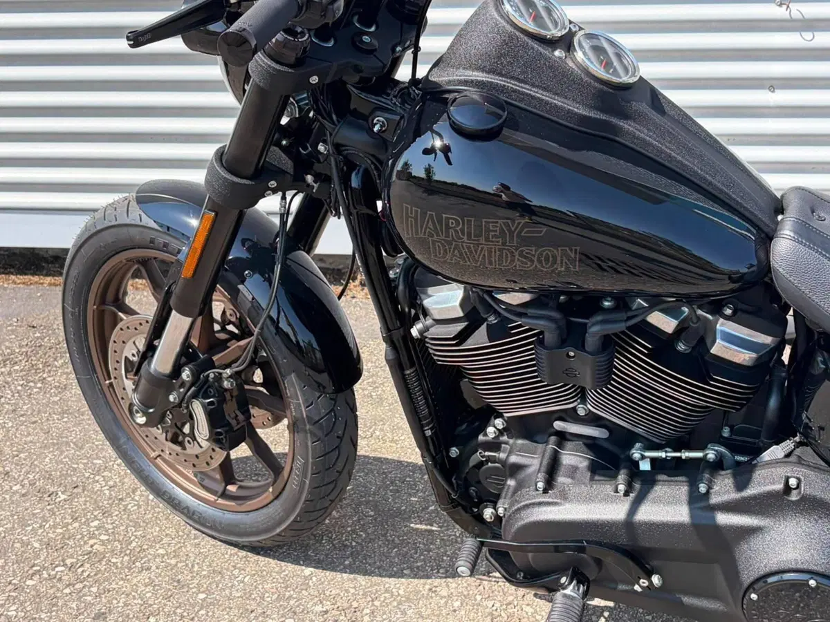 Harley-Davidson 114 Low Rider S (2021) - FXLRS (9)