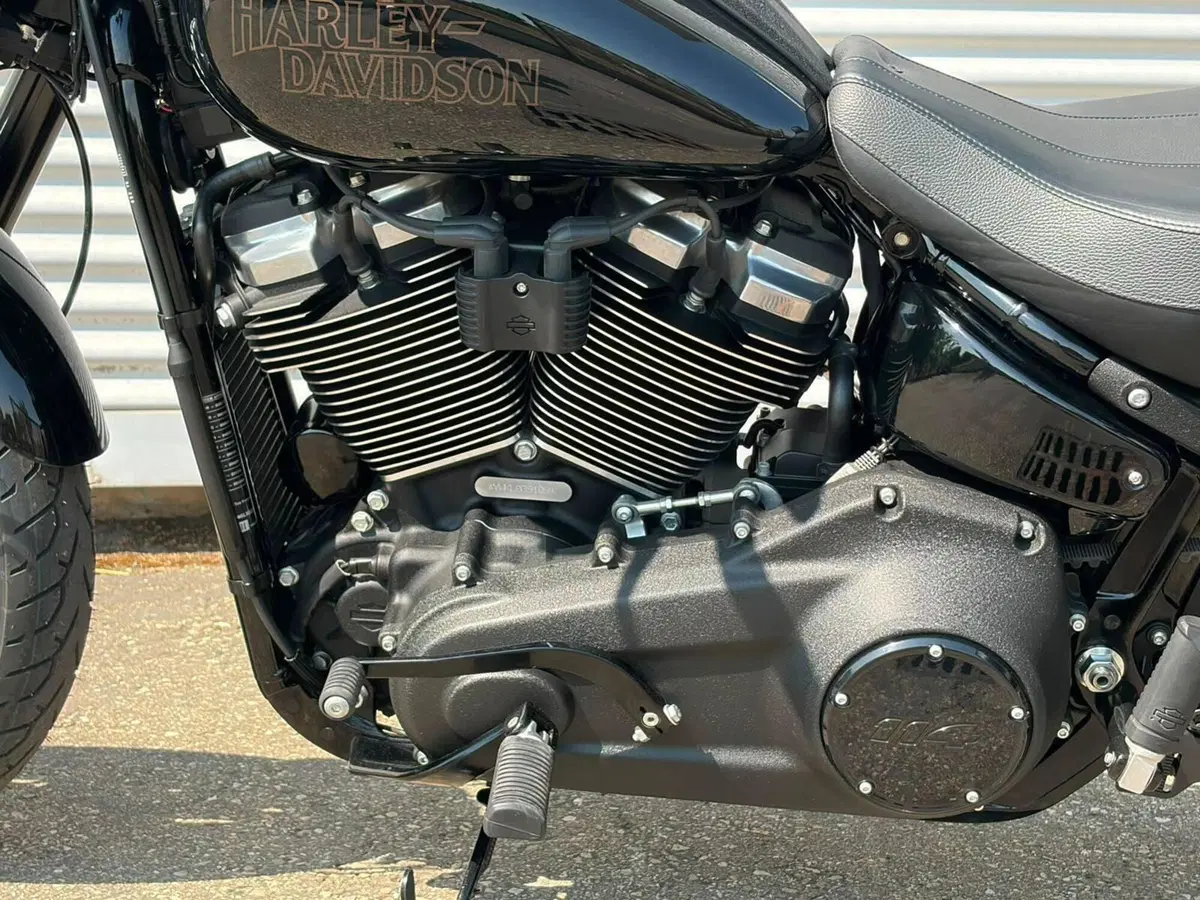 Harley-Davidson 114 Low Rider S (2021) - FXLRS (11)