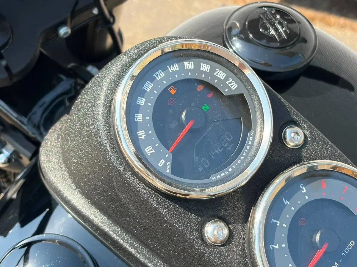 Harley-Davidson 114 Low Rider S (2021) - FXLRS (13)