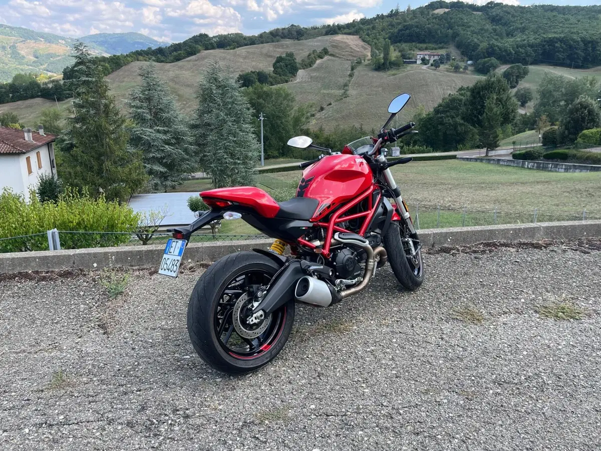 Ducati Monster 797 Plus (2019) (2)