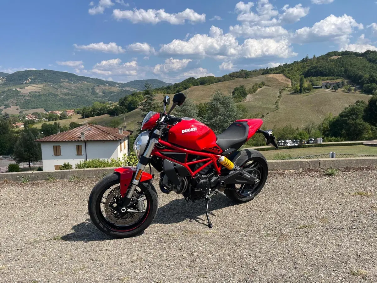 Ducati Monster 797 Plus (2019) (3)