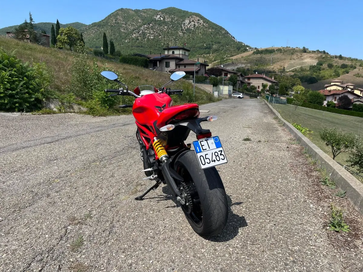 Ducati Monster 797 Plus (2019) (8)
