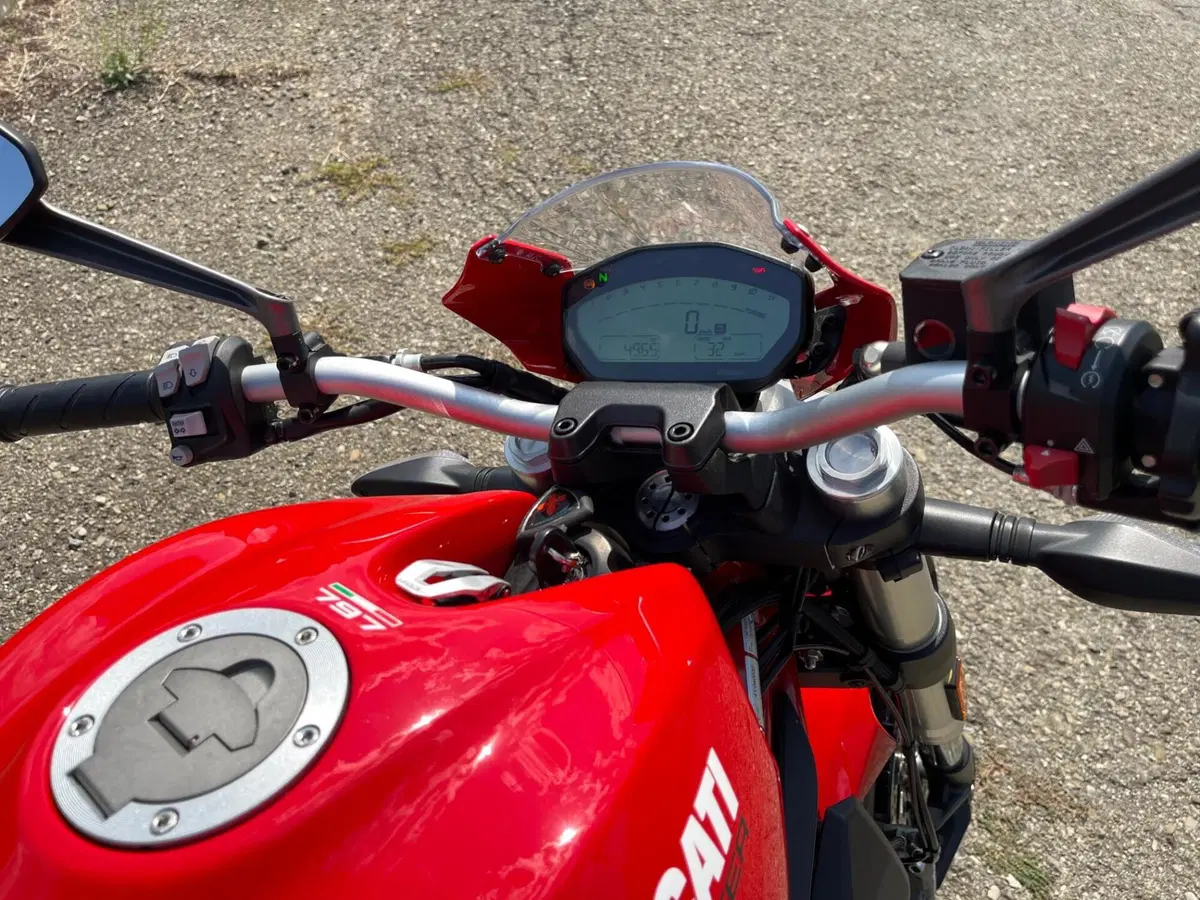 Ducati Monster 797 Plus (2019) (9)
