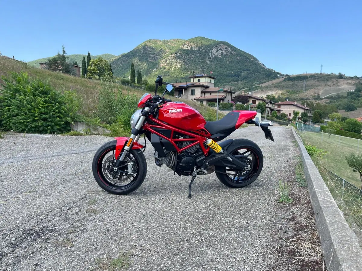 Ducati Monster 797 Plus (2019) (11)