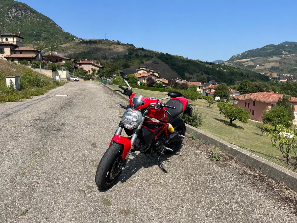 Ducati Monster 797 Plus (2019) (12)