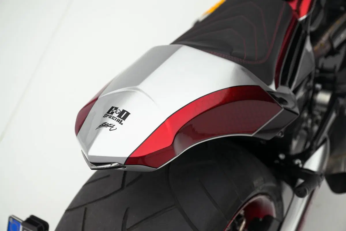 Harley-Davidson 1130 Street Rod (2006 - 07) - VRSCR (17)