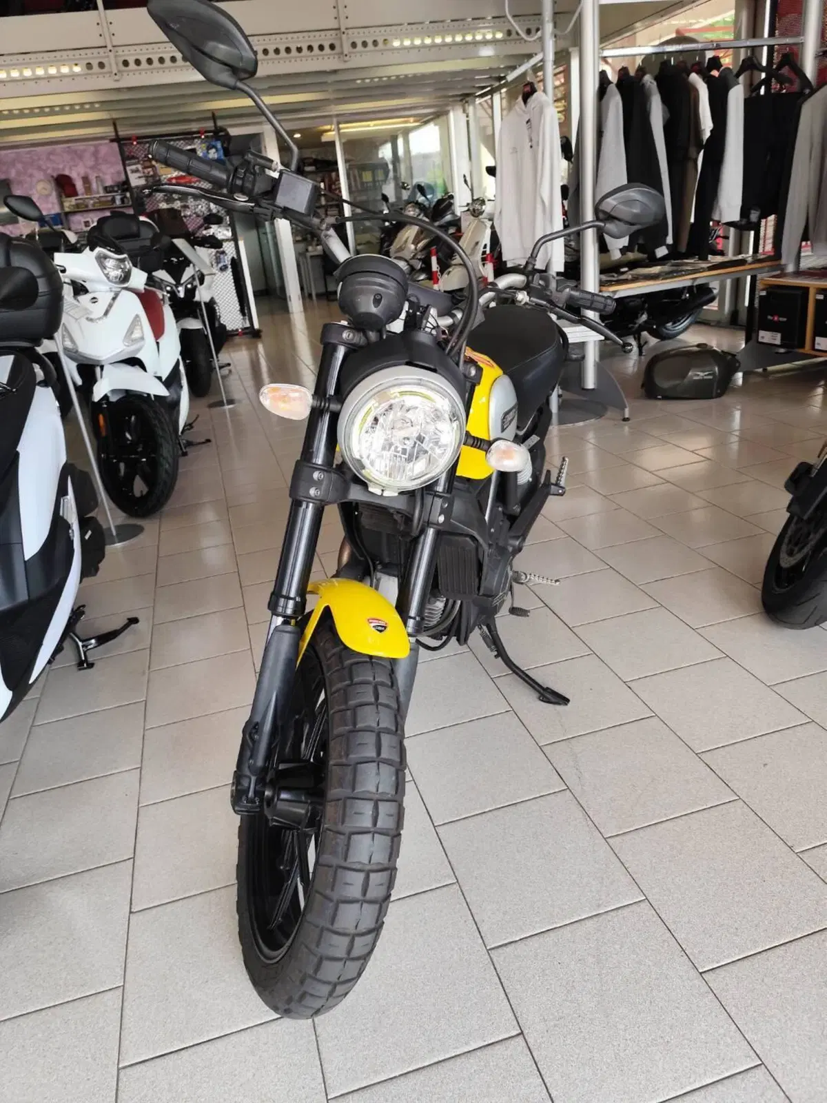 Ducati Scrambler 800 Icon (2015 - 16) (3)