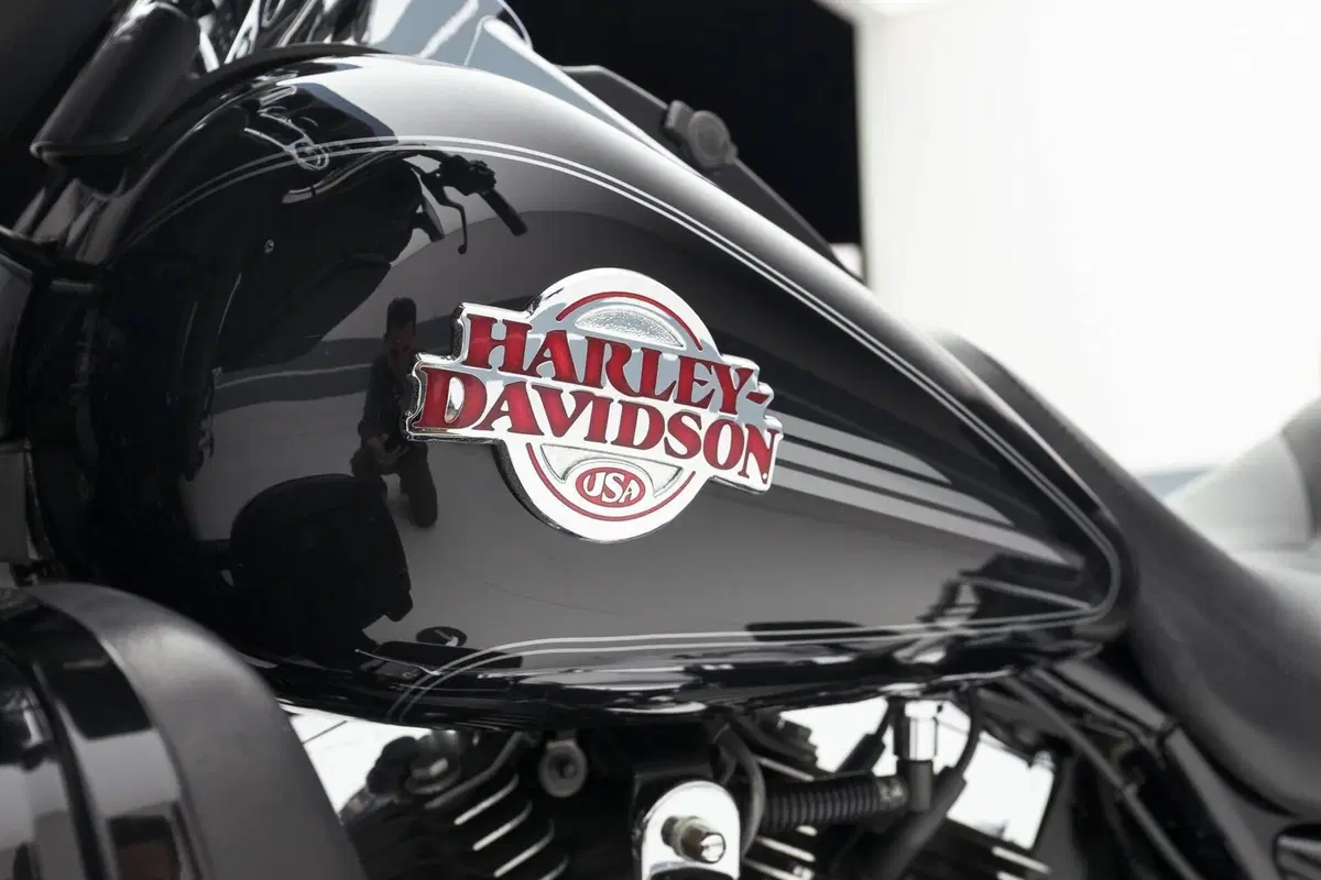 Harley-Davidson 1584 Electra Glide Ultra Classic (2007) - FLHTCU (12)