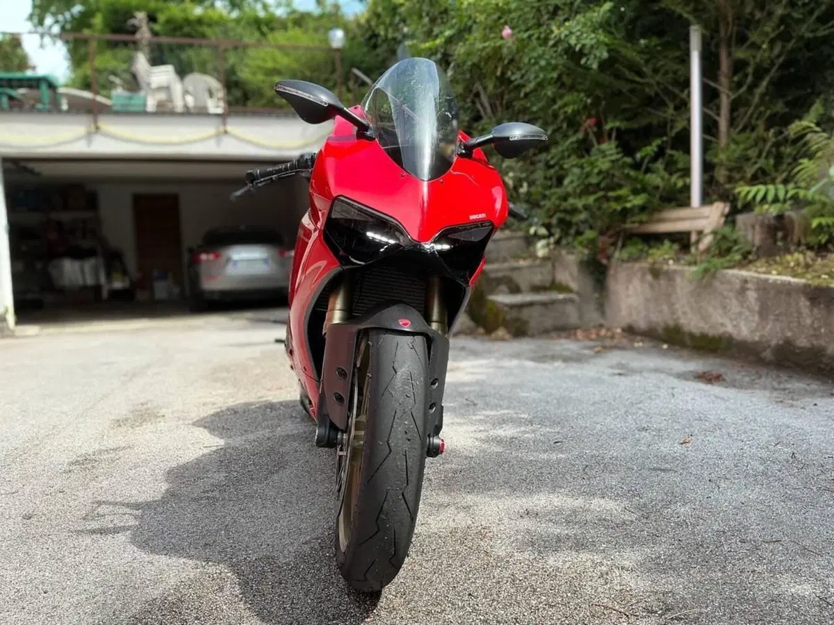 Ducati 1199 Panigale ABS (2013 - 14) (2)