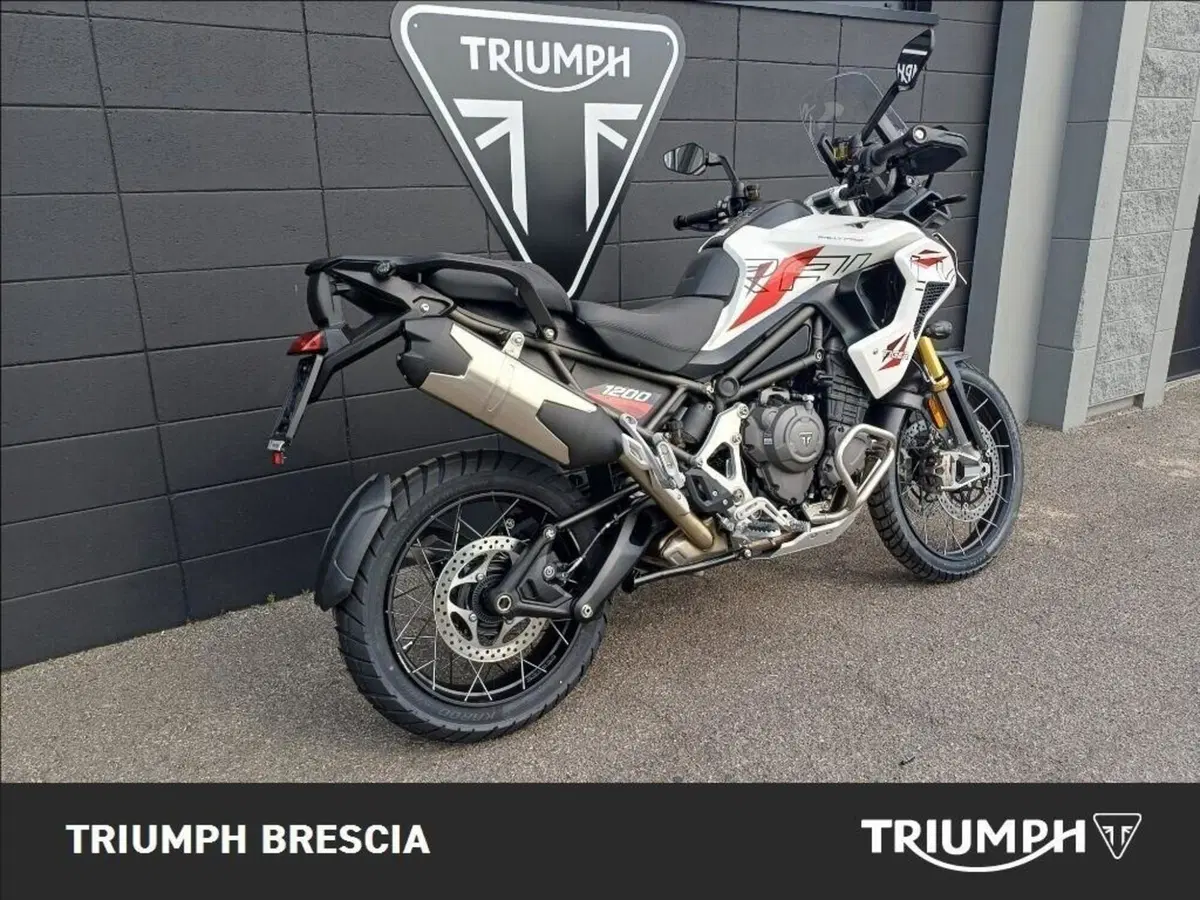 Triumph Tiger 1200 Desert Special Edition (2026) (3)