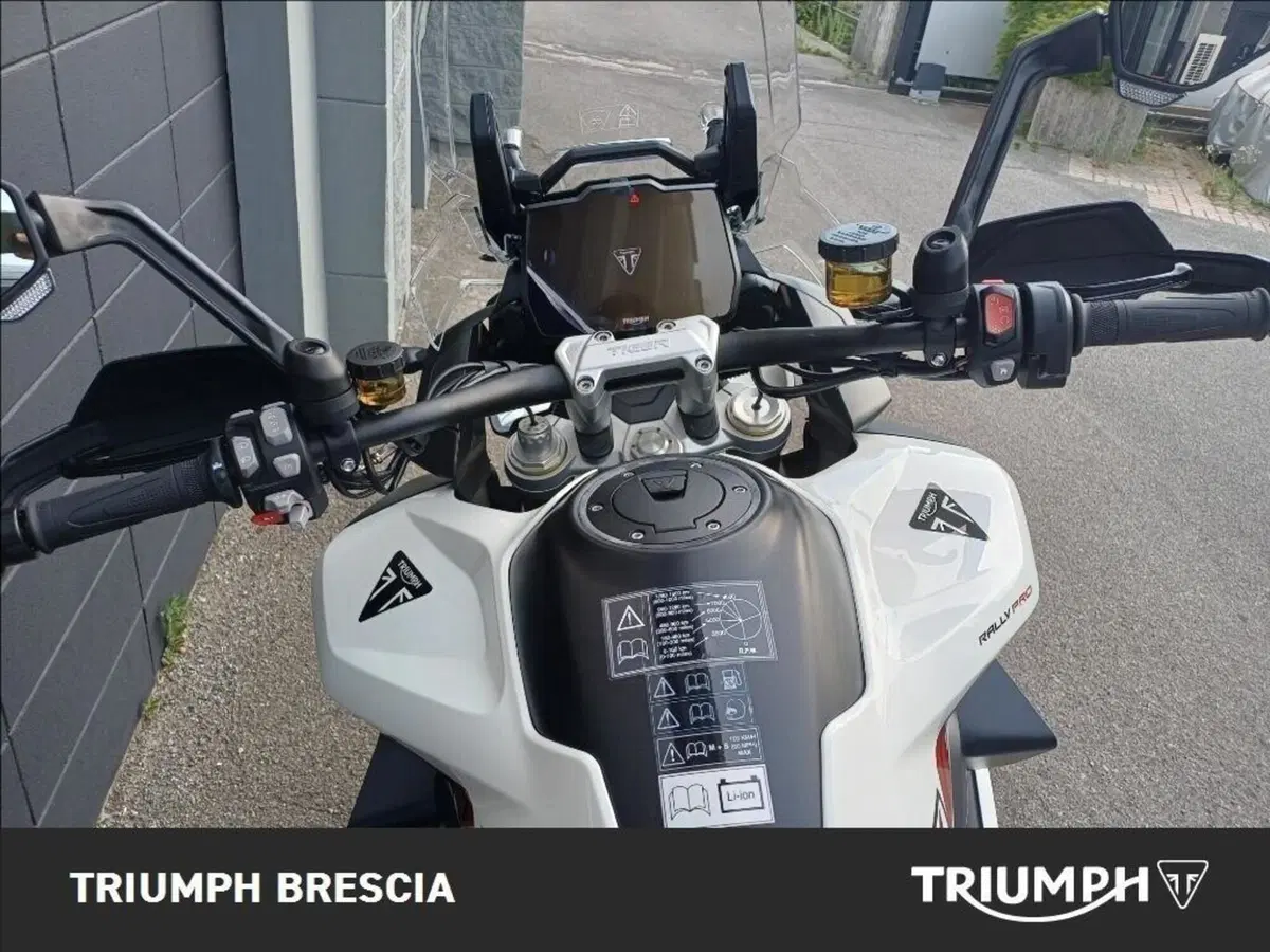 Triumph Tiger 1200 Desert Special Edition (2026) (7)