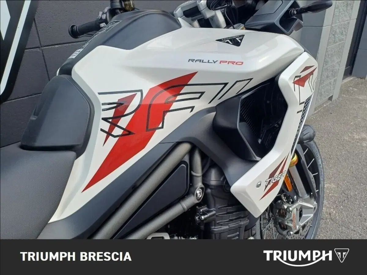 Triumph Tiger 1200 Desert Special Edition (2026) (6)