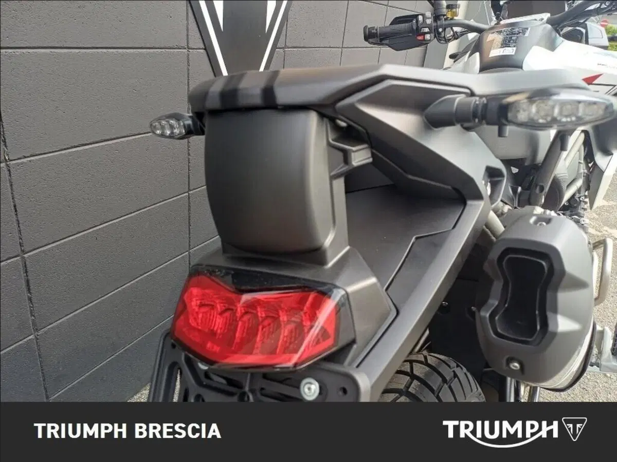 Triumph Tiger 1200 Desert Special Edition (2026) (4)