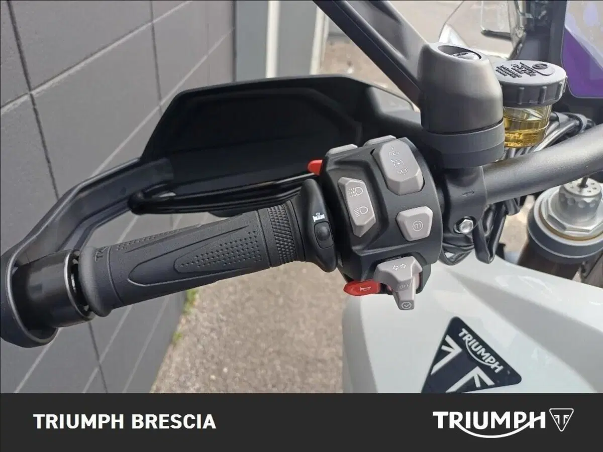 Triumph Tiger 1200 Desert Special Edition (2026) (8)