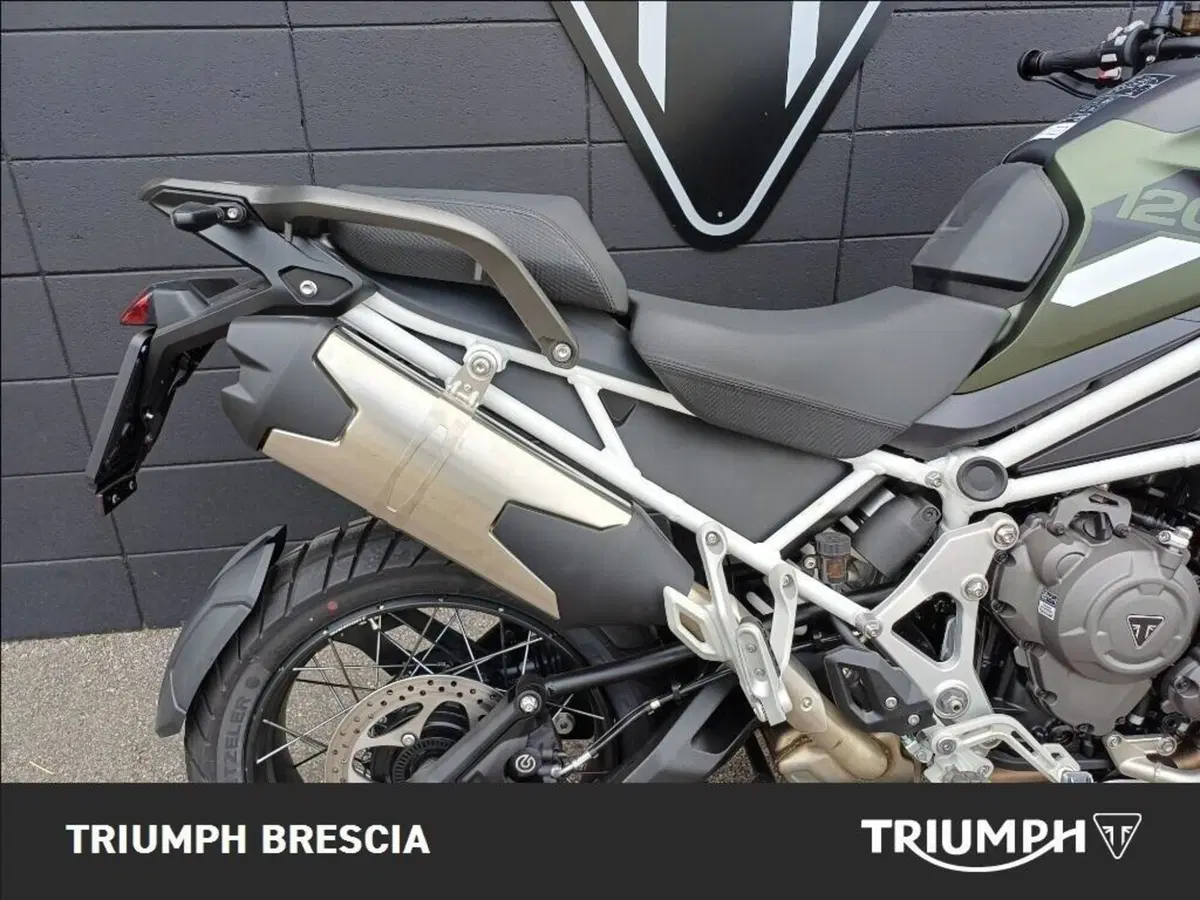 Triumph Tiger 1200 Rally Pro (2024 - 26) (4)