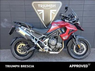 Triumph Tiger 1200 GT Pro (2024 - 26) nuova