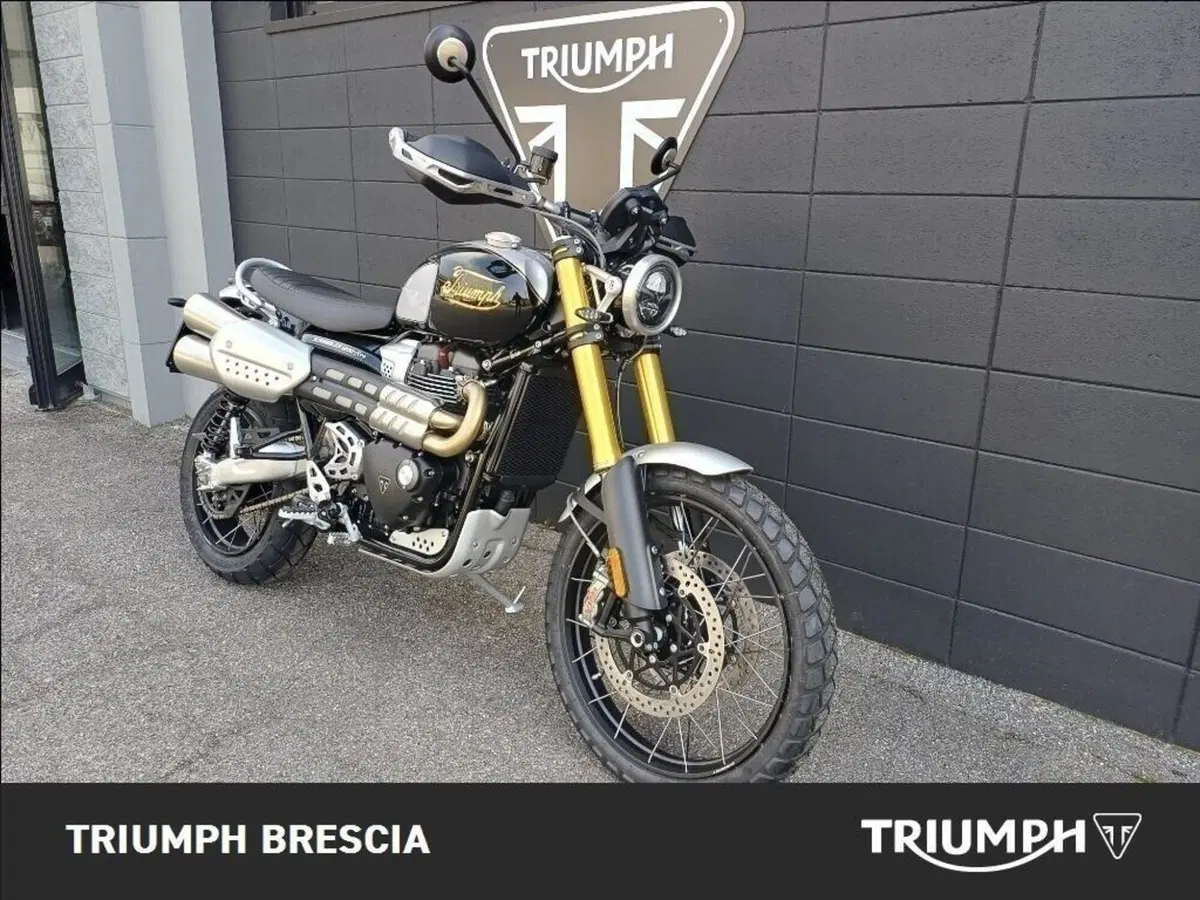 Triumph Scrambler 1200 XE Icon Edition (2025 - 26) (2)