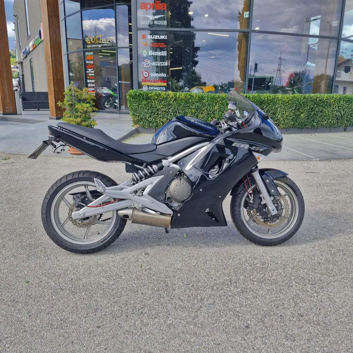Kawasaki ER-6F (2009 - 11) (2)