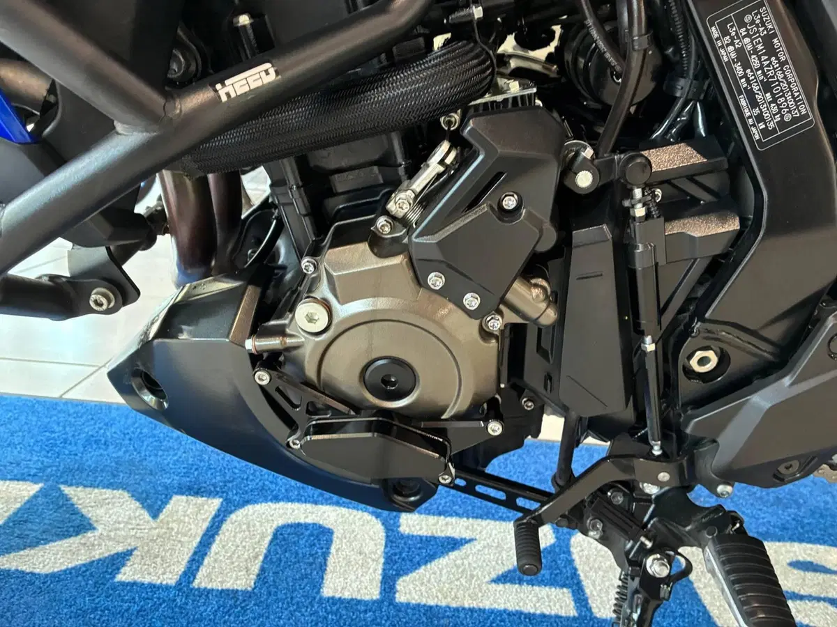 Suzuki V-Strom 800SE (2023 - 24) (8)