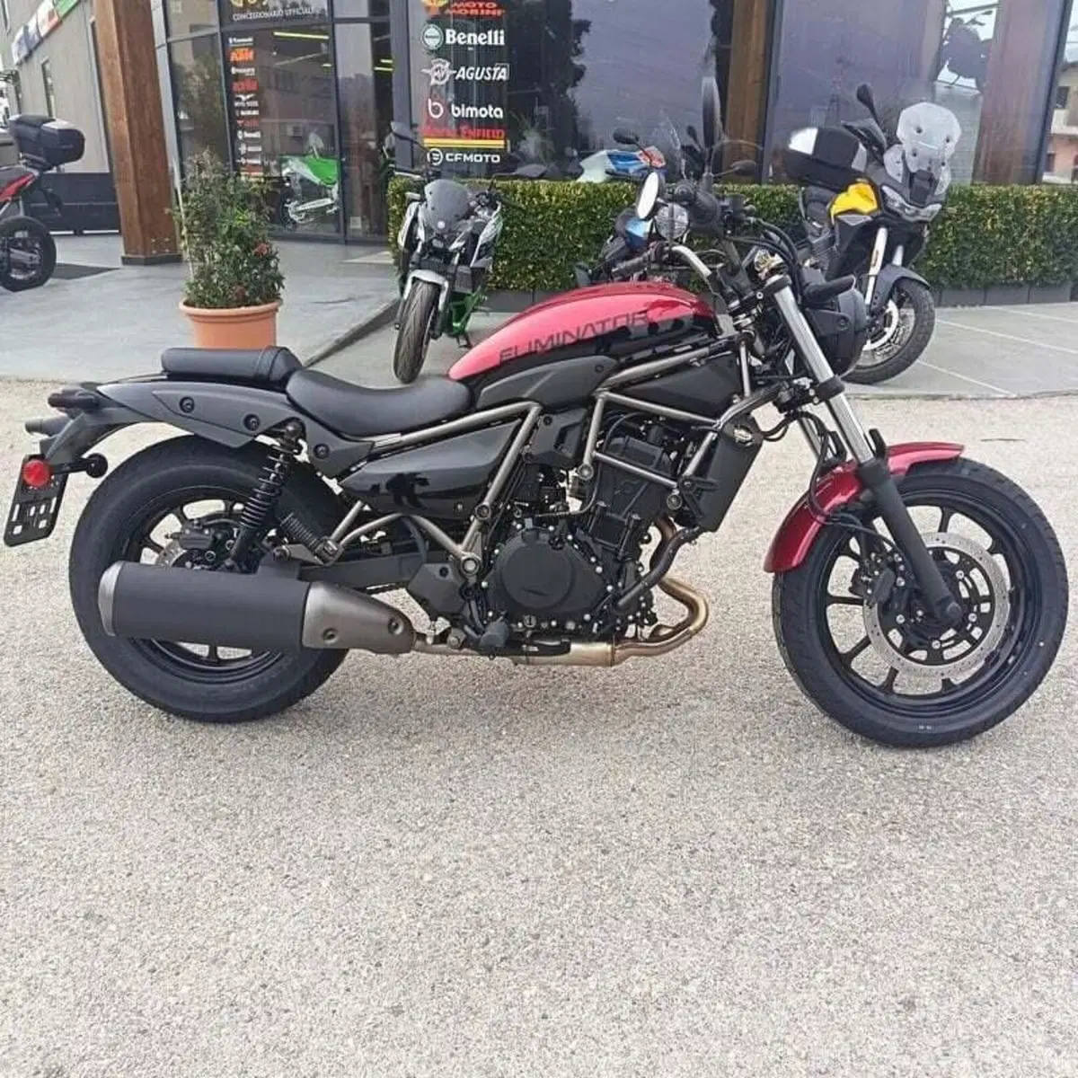 Kawasaki Eliminator 500 (2024 - 26) (3)