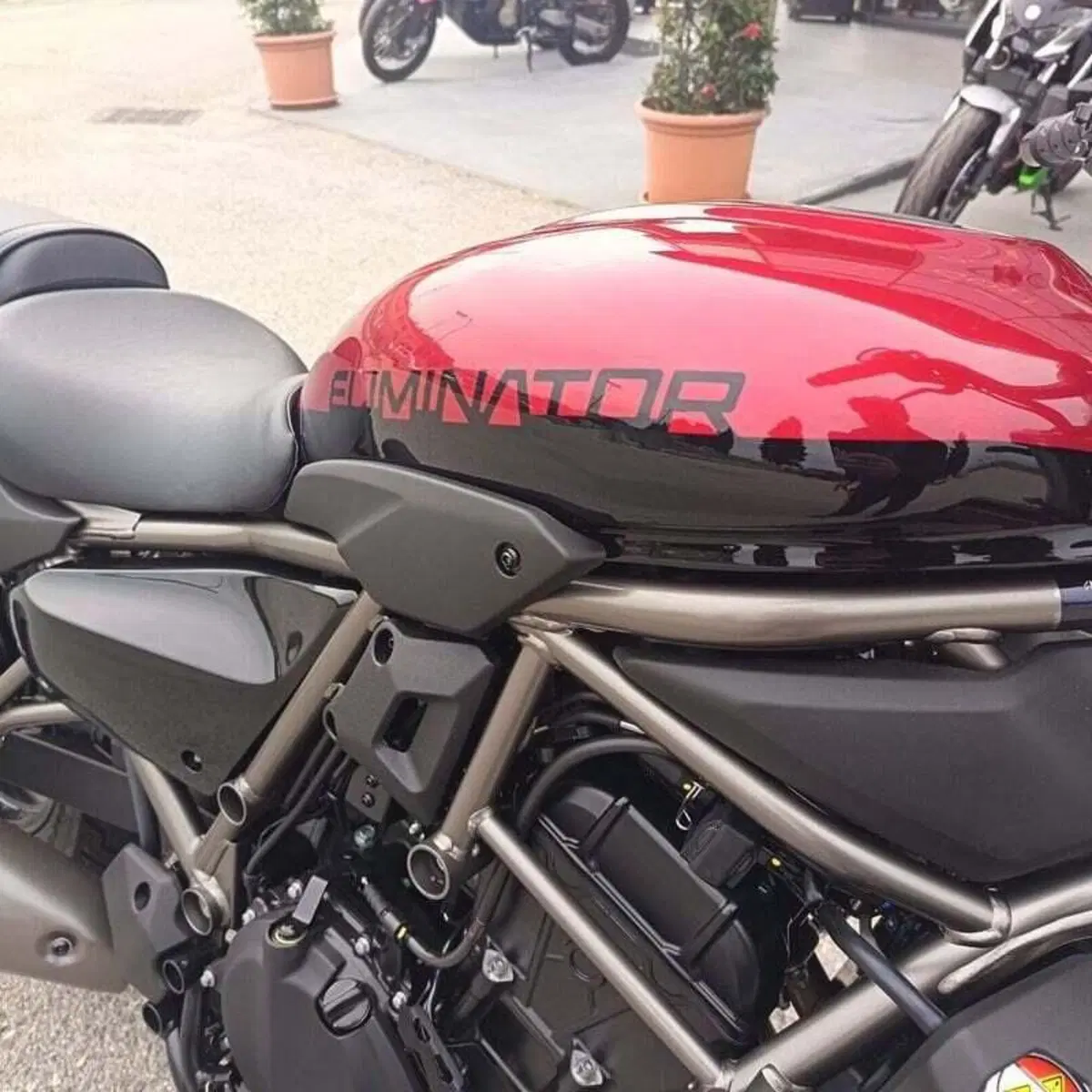 Kawasaki Eliminator 500 (2024 - 26) (8)