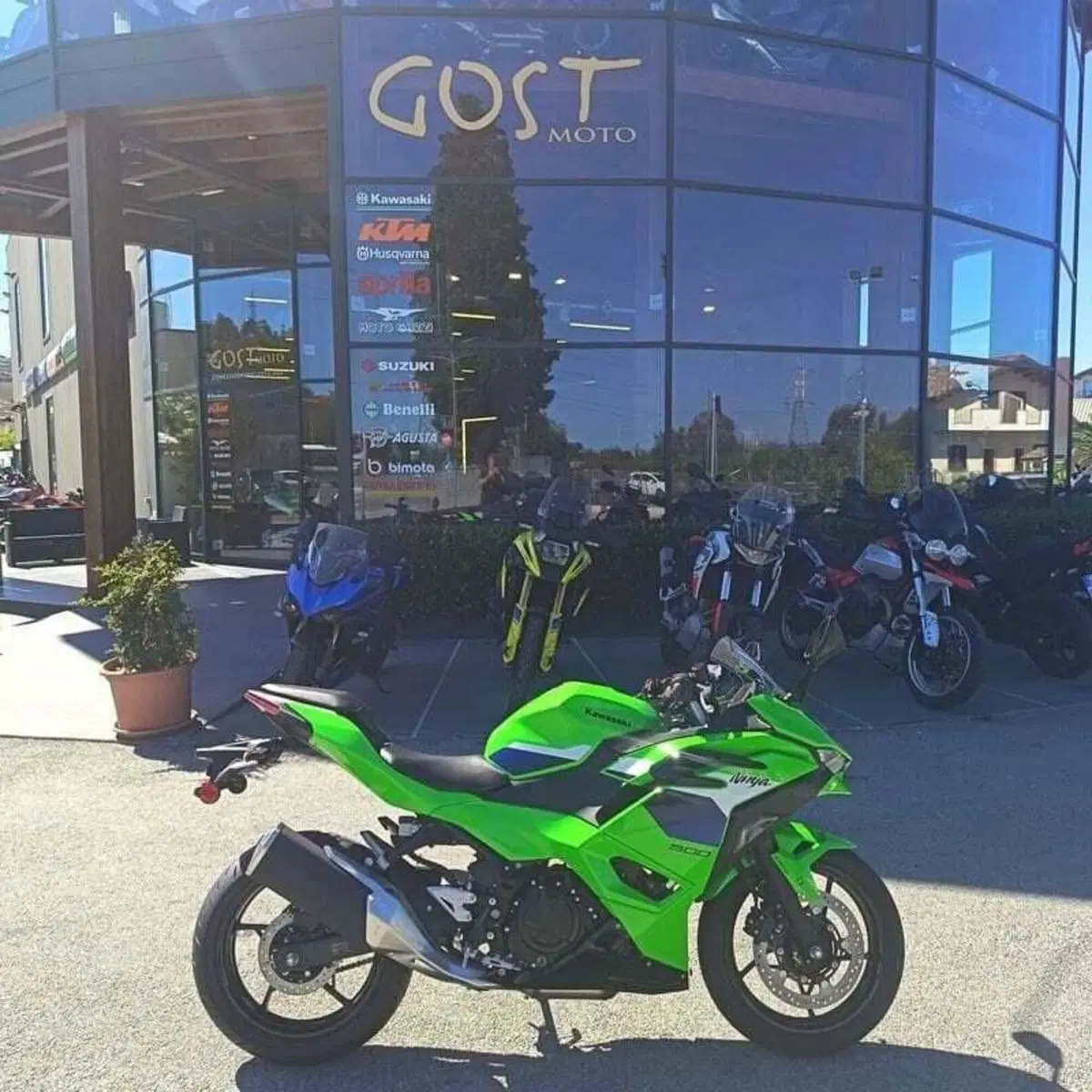 Kawasaki Ninja 500 SE (2024 - 26) (2)