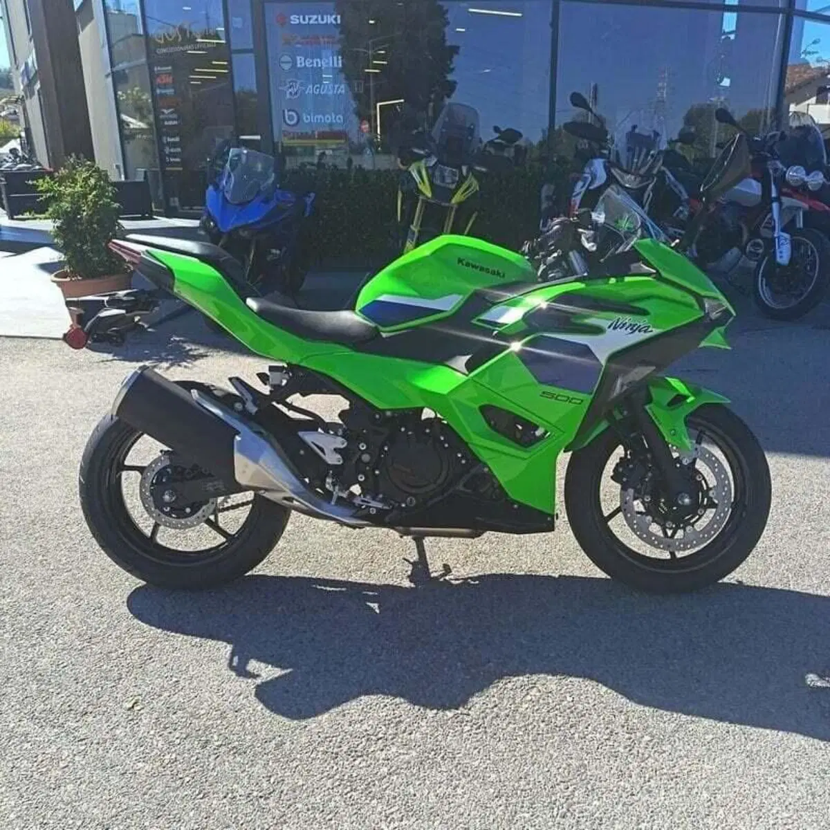 Kawasaki Ninja 500 SE (2024 - 26) (3)