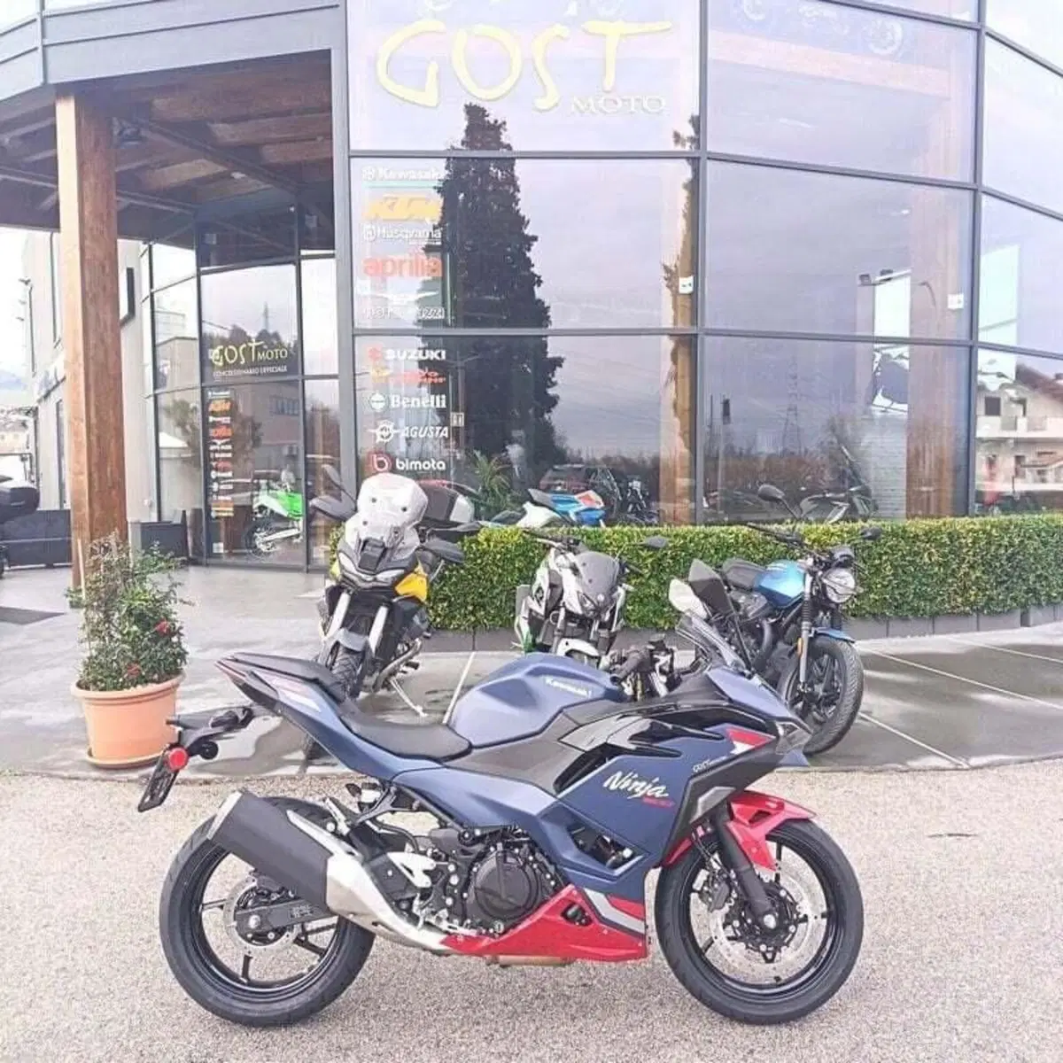 Kawasaki Ninja 500 SE (2024 - 26) (2)
